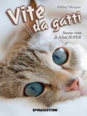 cover image of Vite da gatti